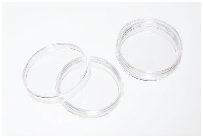 Чашка культуральна biolite діаметром 100 мм, 10 шт